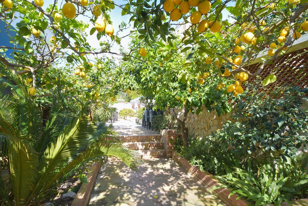 Hotel Celeste Redang Island Dış mekan fotoğraf
